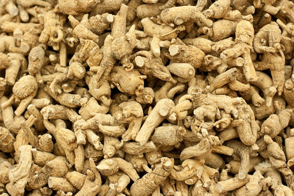 raiz de ginseng para aumentar a potência